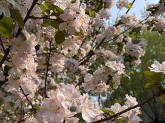 -元大都城垣遗址公园