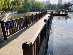 -莲花池公园