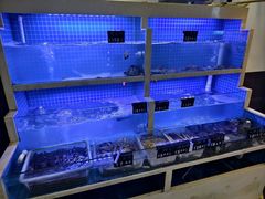 -威海渔村(静安旗舰店)