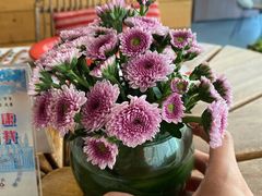 -TOMATITO(无限极荟店)