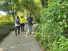 -棕榈岛海鲜自助餐厅(虹桥迎宾馆店)