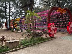 -北海金海湾红树林生态旅游区