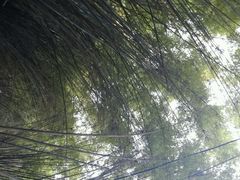 -东部华侨城