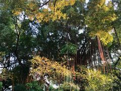 -晓港公园