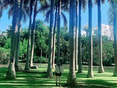 -中国科学院西双版纳热带植物园