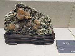 -安徽省地质博物馆