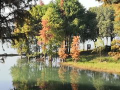 -贡湖湾湿地公园