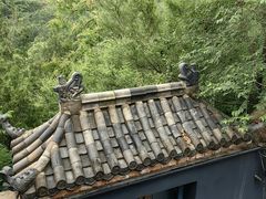 -白水寺森林公园