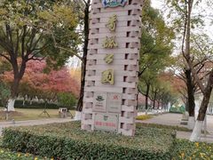 -青枫公园