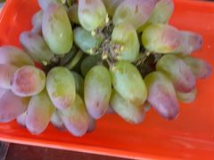 -马陆小张葡萄园农家乐