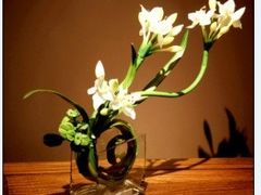 -荷兰布尔玛国际花艺学院