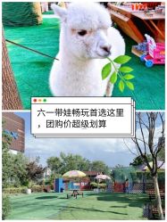 -萌宠亲子动物乐园(槐房万达店)