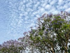 -重庆中央公园(渝北区)