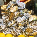 任吃的海鲜自助西餐厅🍴