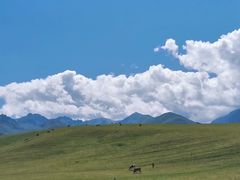 -新疆那拉提国家旅游度假区