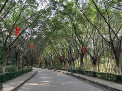 -滴水岩森林公园