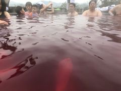 -天目湖涵田半山温泉