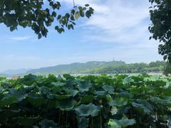 -湖畔居茶楼(湖滨店)