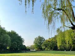 -柳莺湖上·湖景餐厅·江南菜(西湖店)