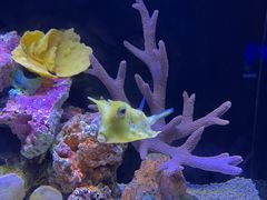 -上海海洋水族馆