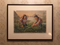 -大可堂普洱茶馆(襄阳南路馆)