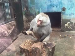 -无锡动物园·太湖欢乐园