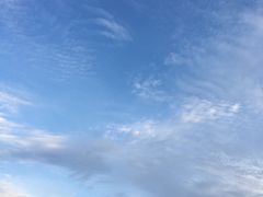 -九毛九西北菜(大东海店)