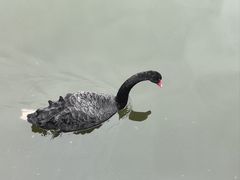 -成都动物园