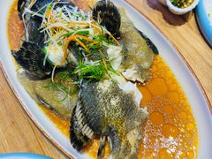 清蒸石斑鱼-蟹老板的海鲜