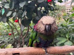 -南宫五洲植物乐园