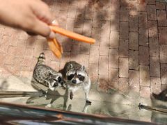 -水上乐园·欢乐世界