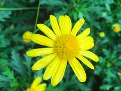 -广州绿地中央广场