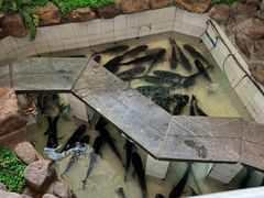 -春盛渔府(牛首山店)