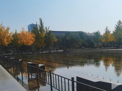 -大雁塔北广场音乐喷泉