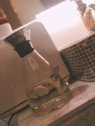 -KINI绮丽·美学肌SPA进口仪器专业店