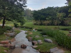 -黄埔油麻山森林公园