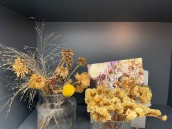 -德加芭蕾·舞蹈培训
