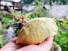 -曼阁市场水果批发市场