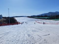 -华彬猛犸滑雪场