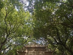 -灵岩山风景区