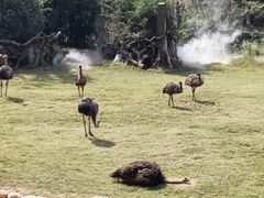 -郑州银基国际旅游度假区