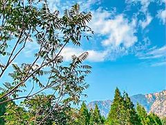 -禅宗少林·音乐大典