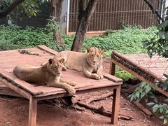 -昆明动物园