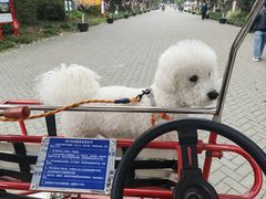 -上海海湾国家森林公园