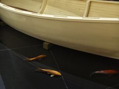 -涨巢·潮玩水疗局