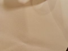 -BLACKSWAN黑天鹅(环球店)