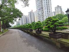 -华雅花园大酒店