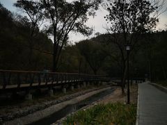 -白水寺森林公园