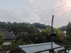 -野蔓果·山野菜(西湖景区·龙井茶田店)