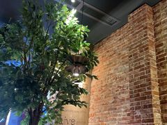 -同仁四季椰子鸡(无锡滨湖万象汇店)